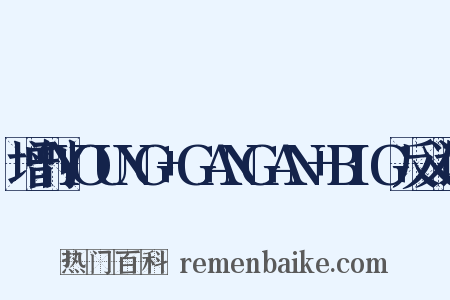 增刊YOUNG+GANGAN+BIG反义词是什么意思的图片